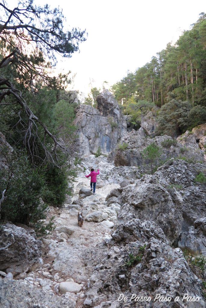 Niña y perra transitando por sendero rocoso