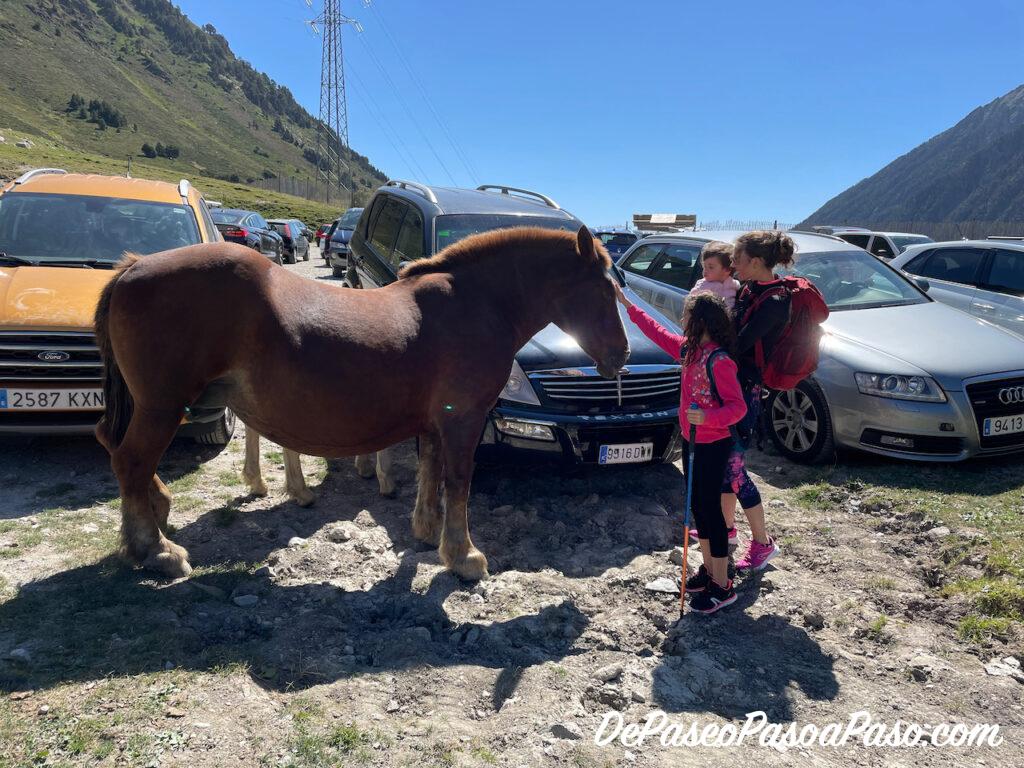 caballo en parking de Camino Estany