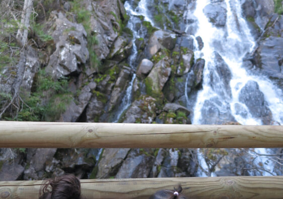 Cascada Gerber