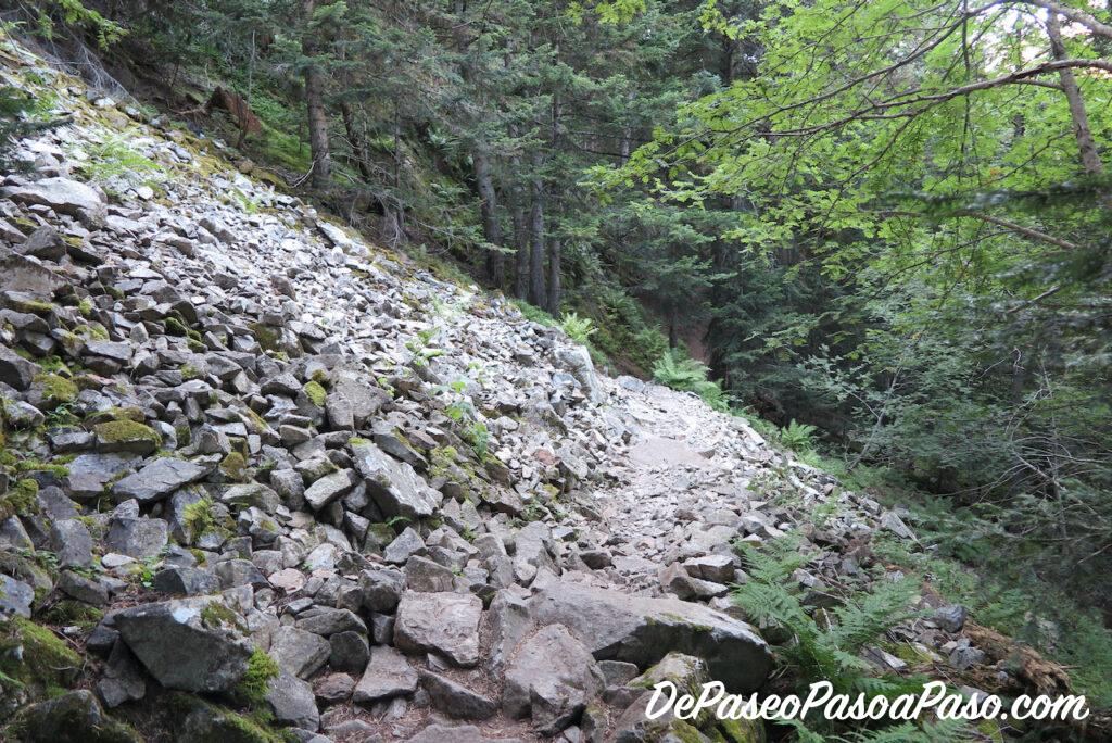 Camino a Cascada Gerber