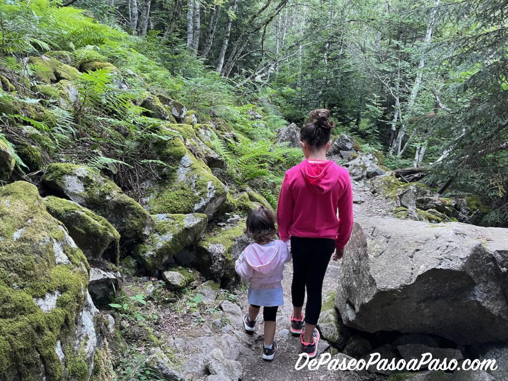 Camino a Cascada Gerber