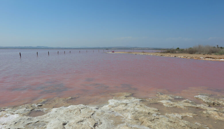 Laguna rosa Torrevieja