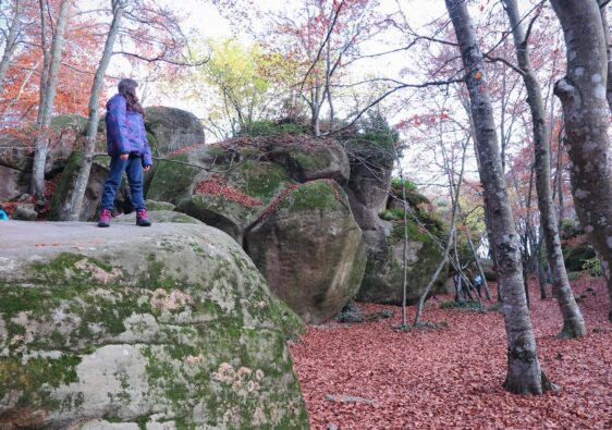 Roques Encantades