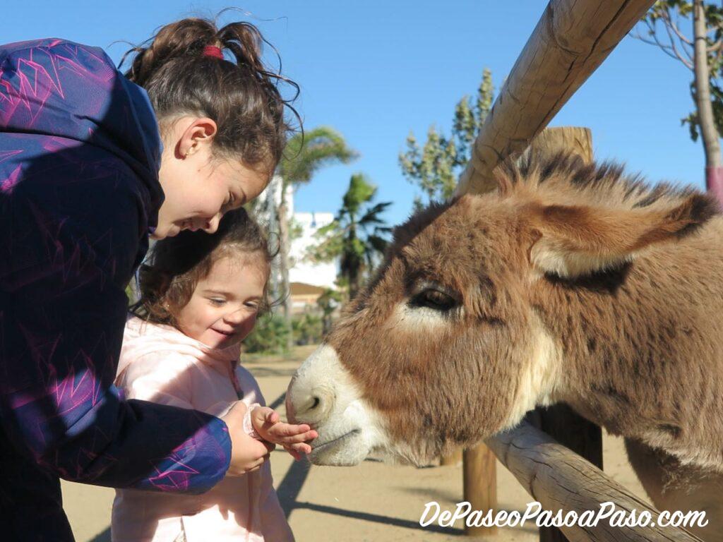 Asno La Mascota i el Jardí