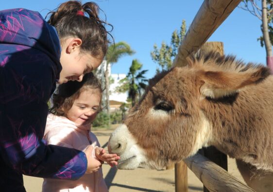 Asno La Mascota i el Jardí