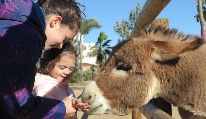 Asno La Mascota i el Jardí