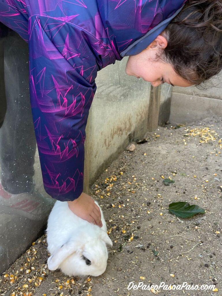 Conejo La Mascota i el Jardí
