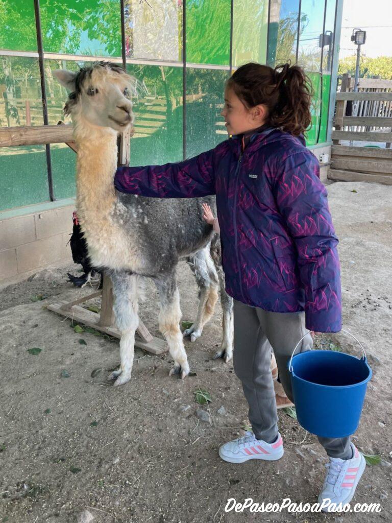 La Mascota i el Jardí