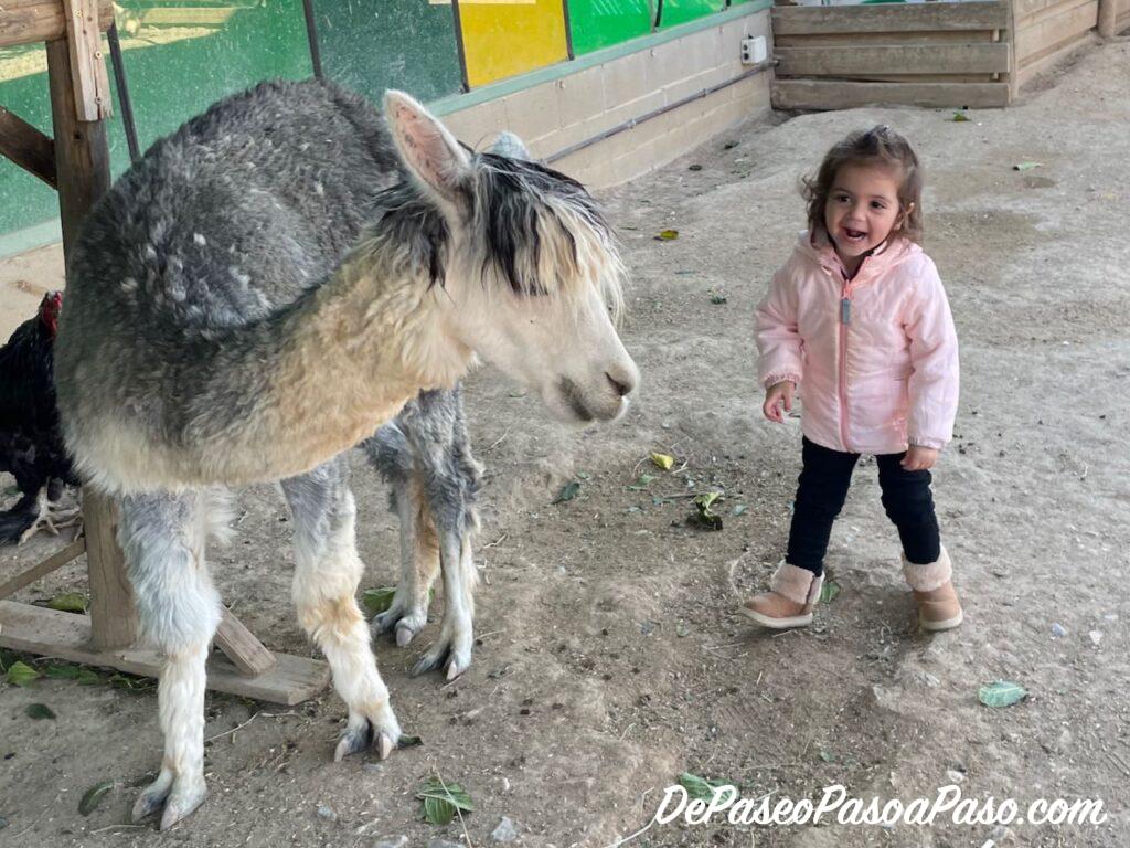 La Mascota i el Jardí