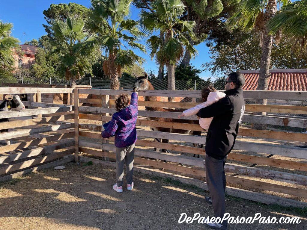 La Mascota i el Jardí