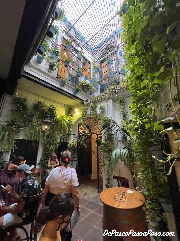Bar el Pimpi Málaga