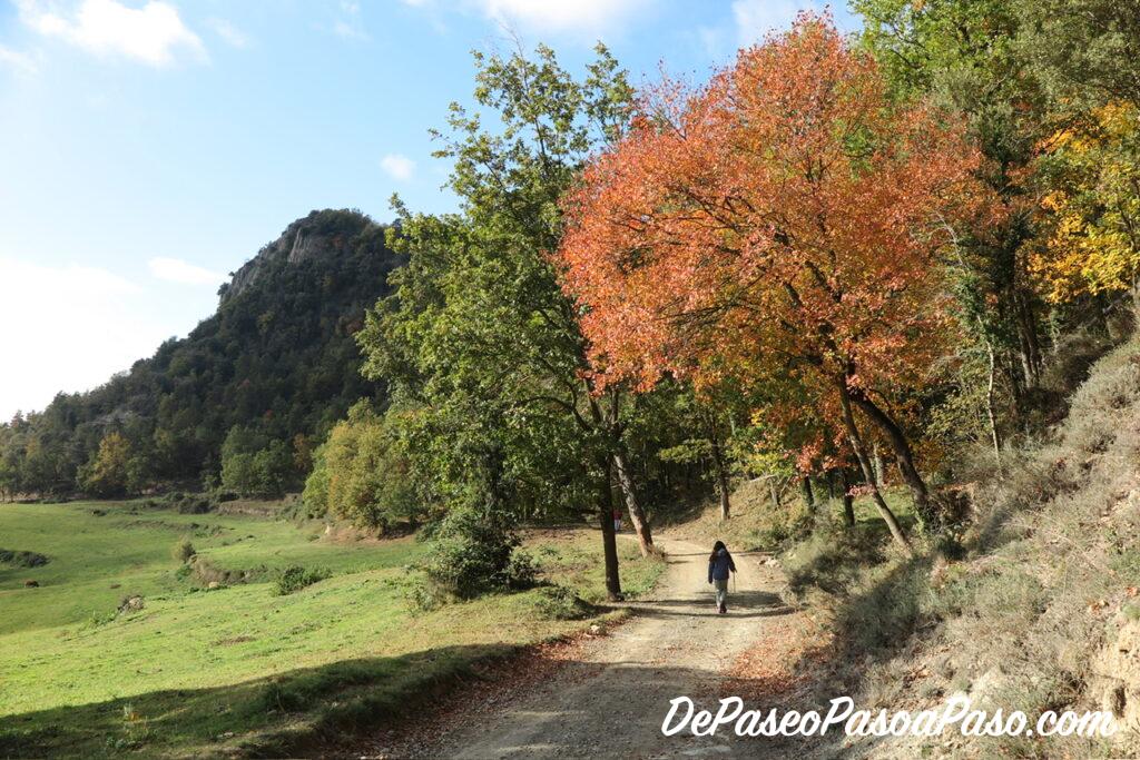 Camino amplio al lado de un prado