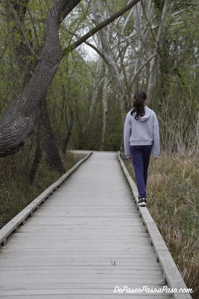 Pasarela madera hacia estanques de Banyoles