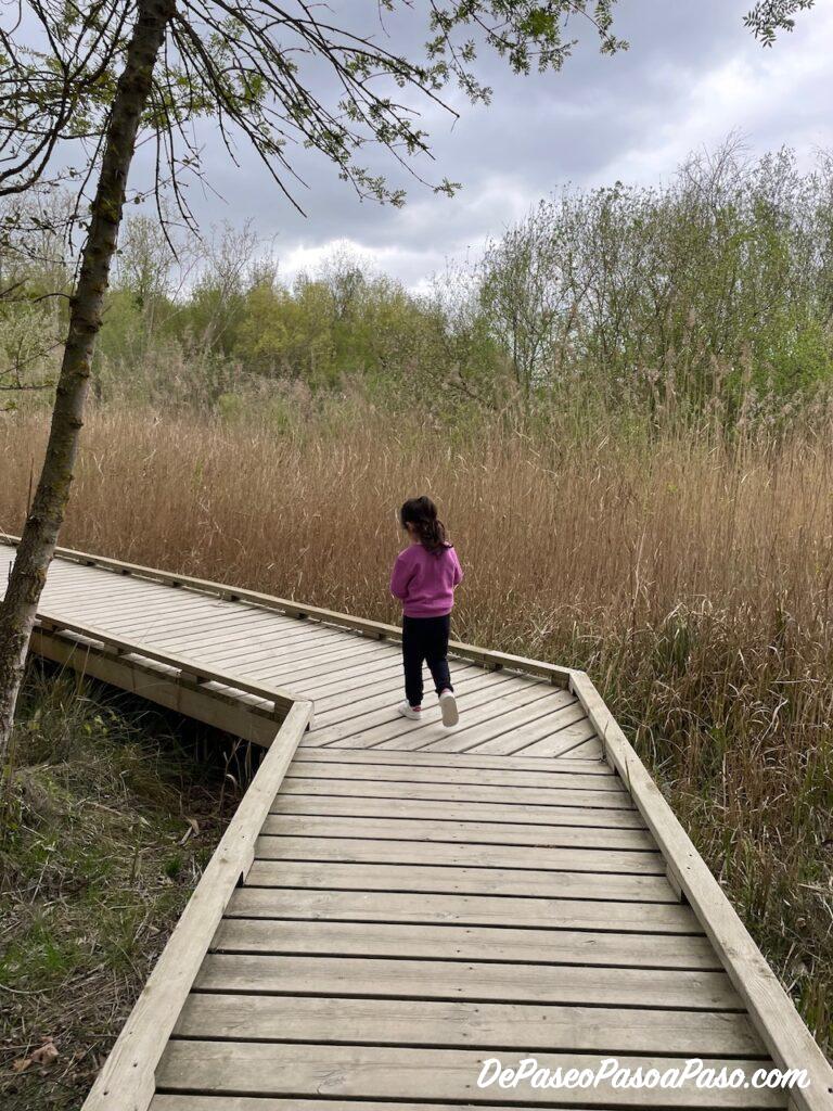 Pasarela madera hacia los estanques Banyoles