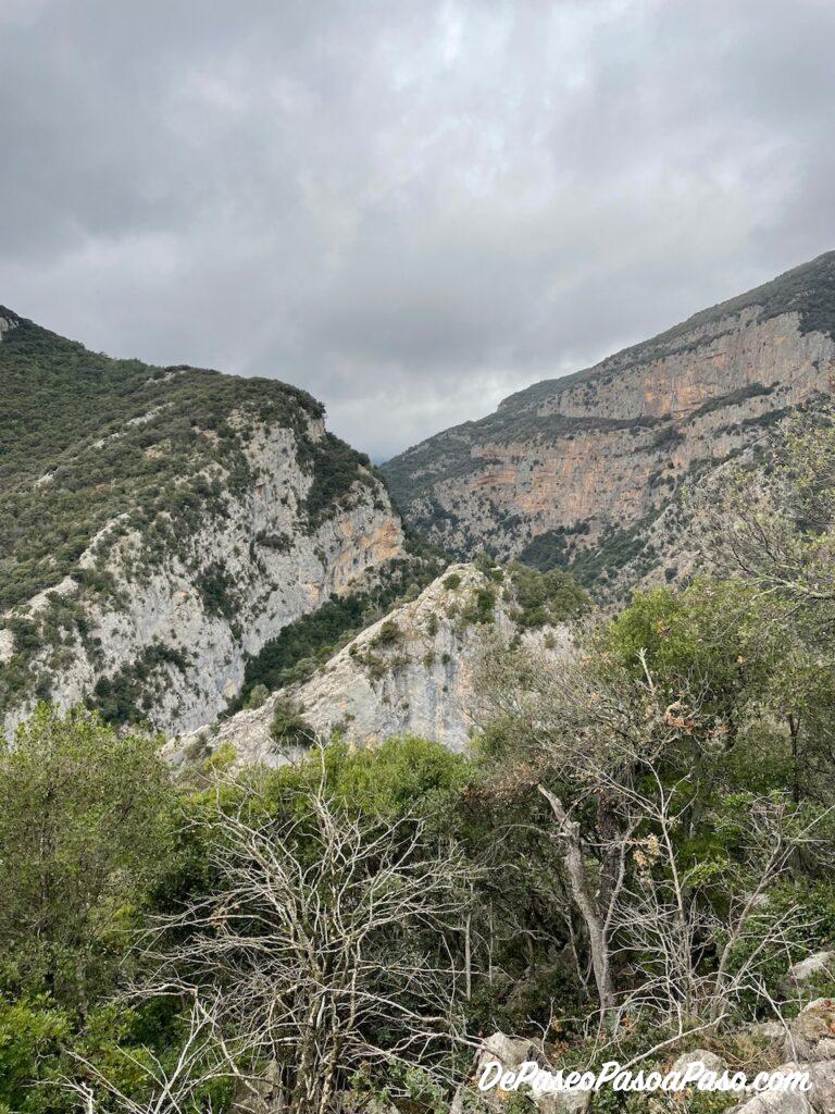 Vista panorámica en el camino