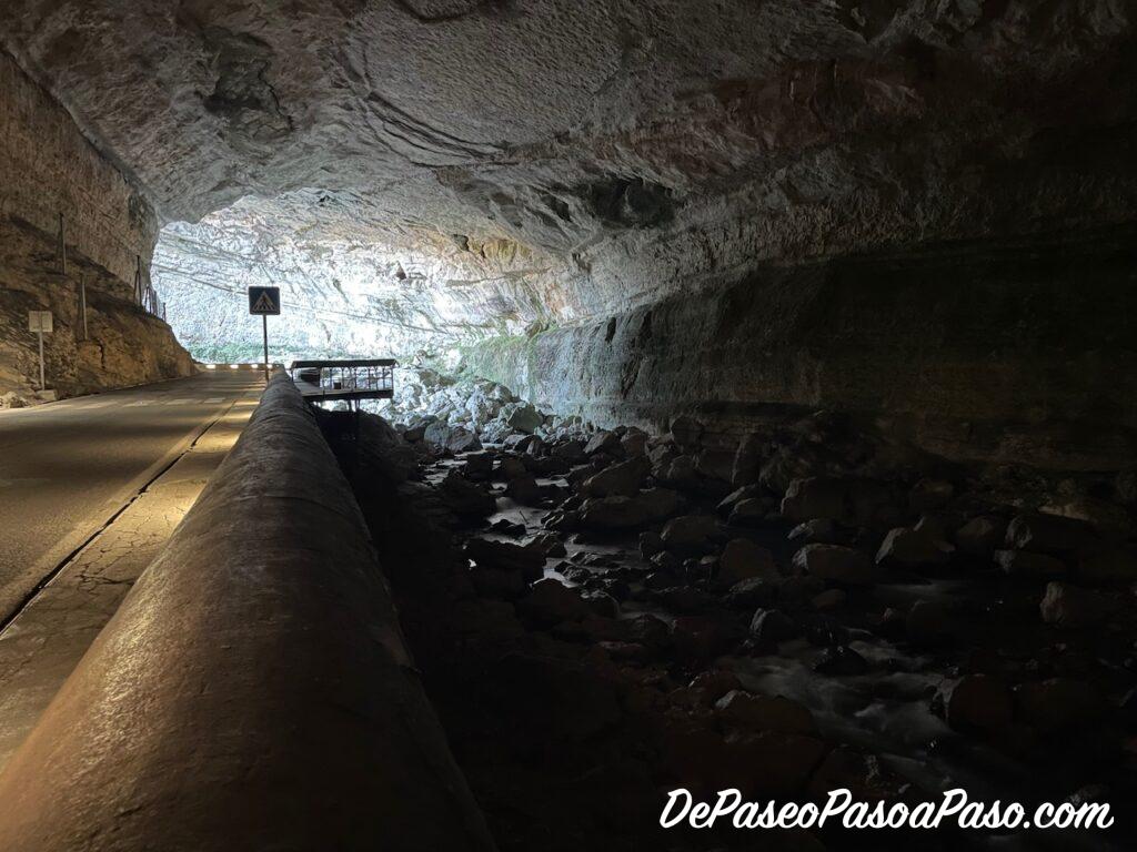Cueva Mas d’Azil