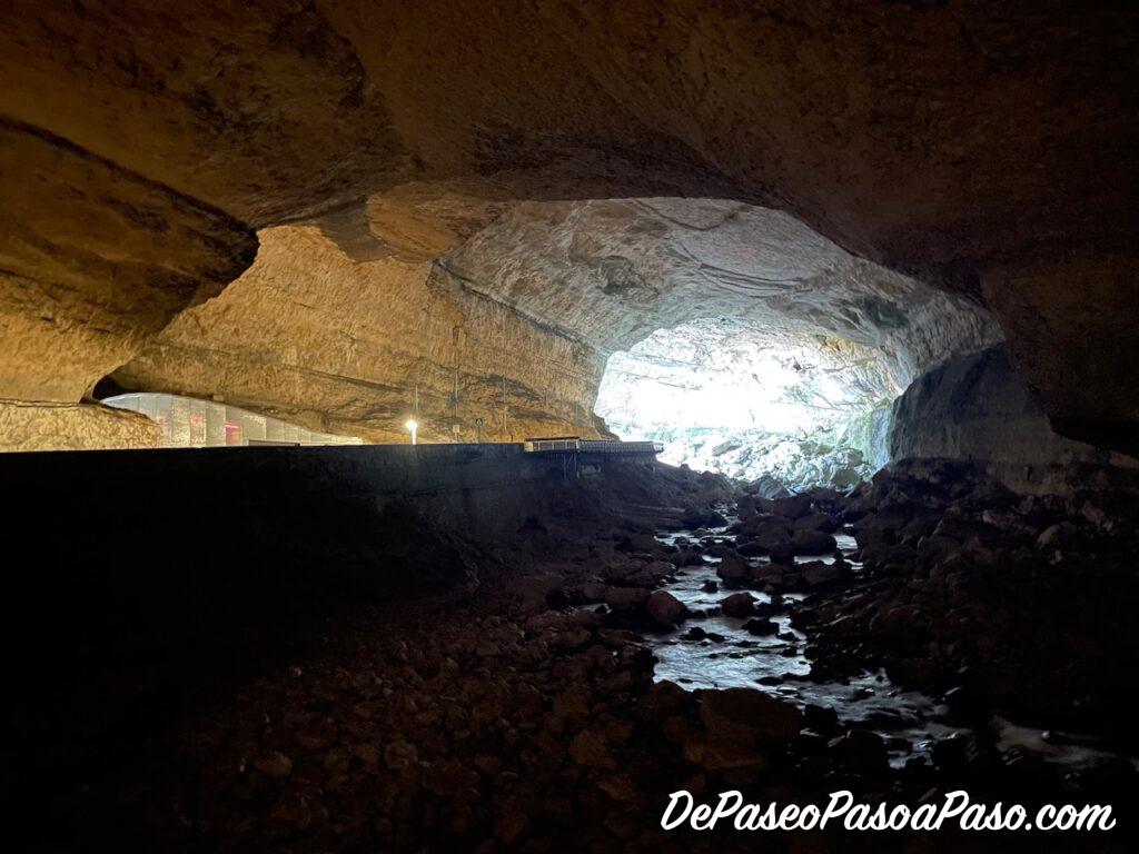 Cueva Mas d’Azil