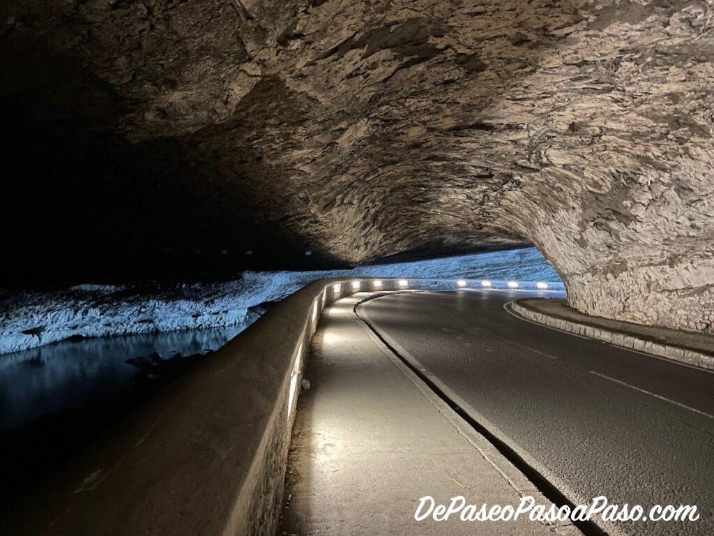 Cueva Mas d’Azil