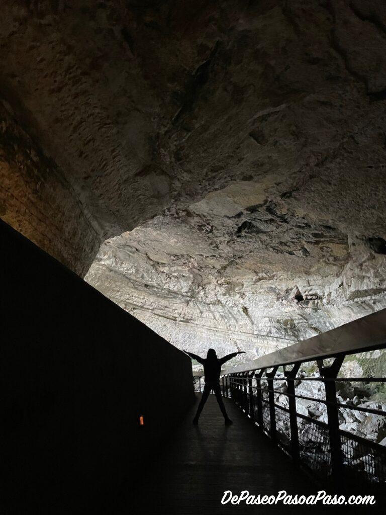 Cueva Mas d’Azil