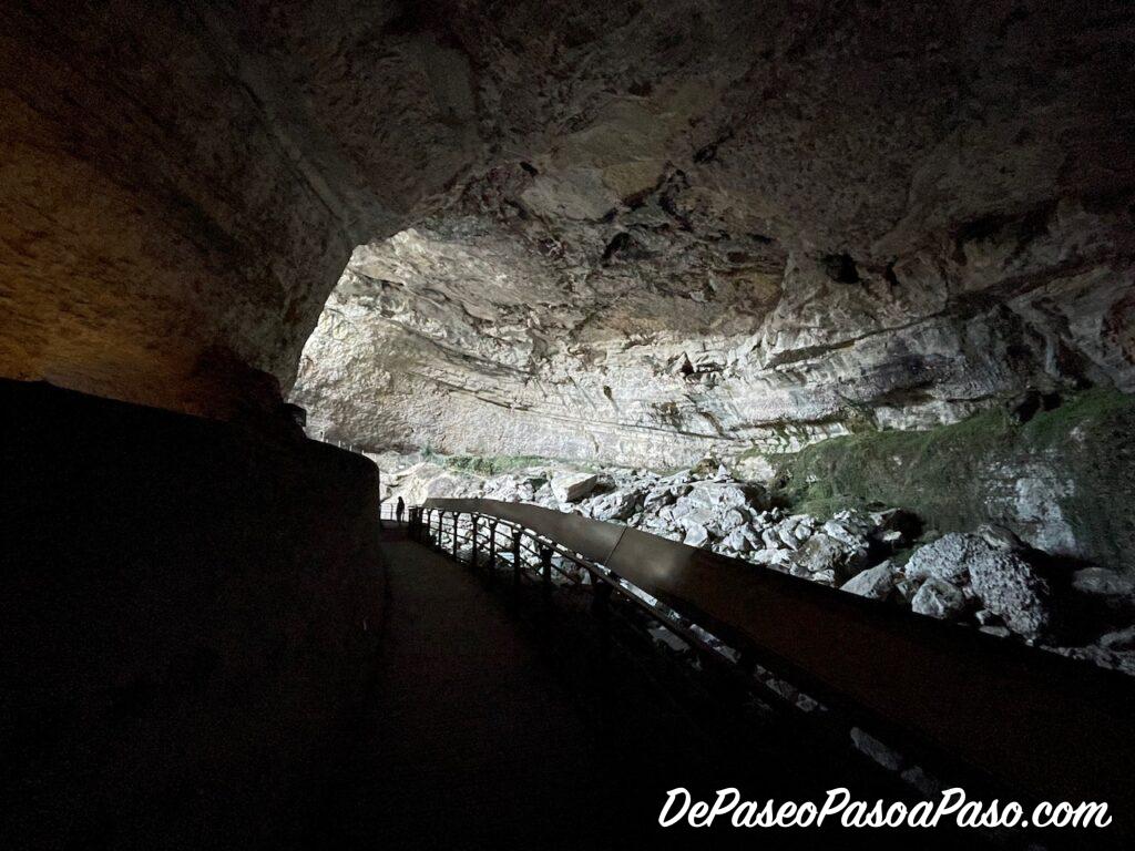 Cueva Mas d’Azil