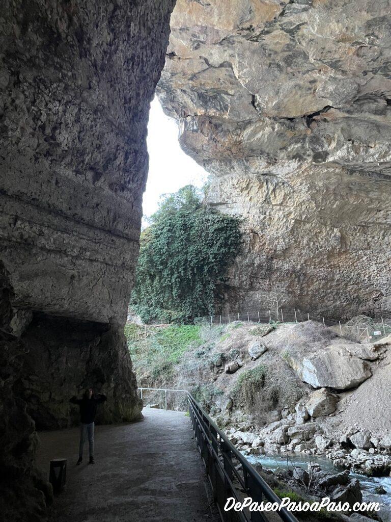 Cueva Mas d’Azil