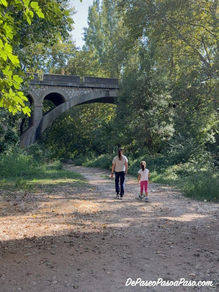 Camino hacia Molí la Vella