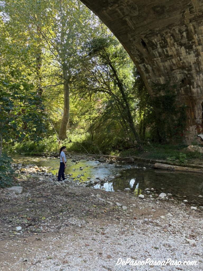 Camino hacia Molí la Vella