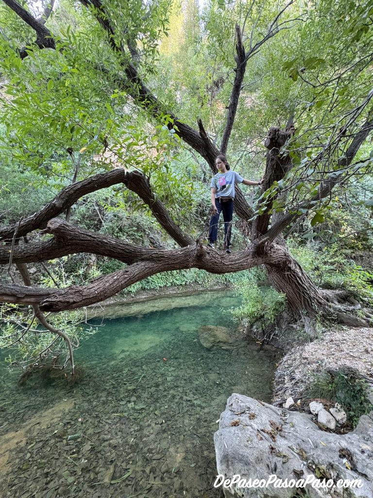 Camino hacia Molí la Vella