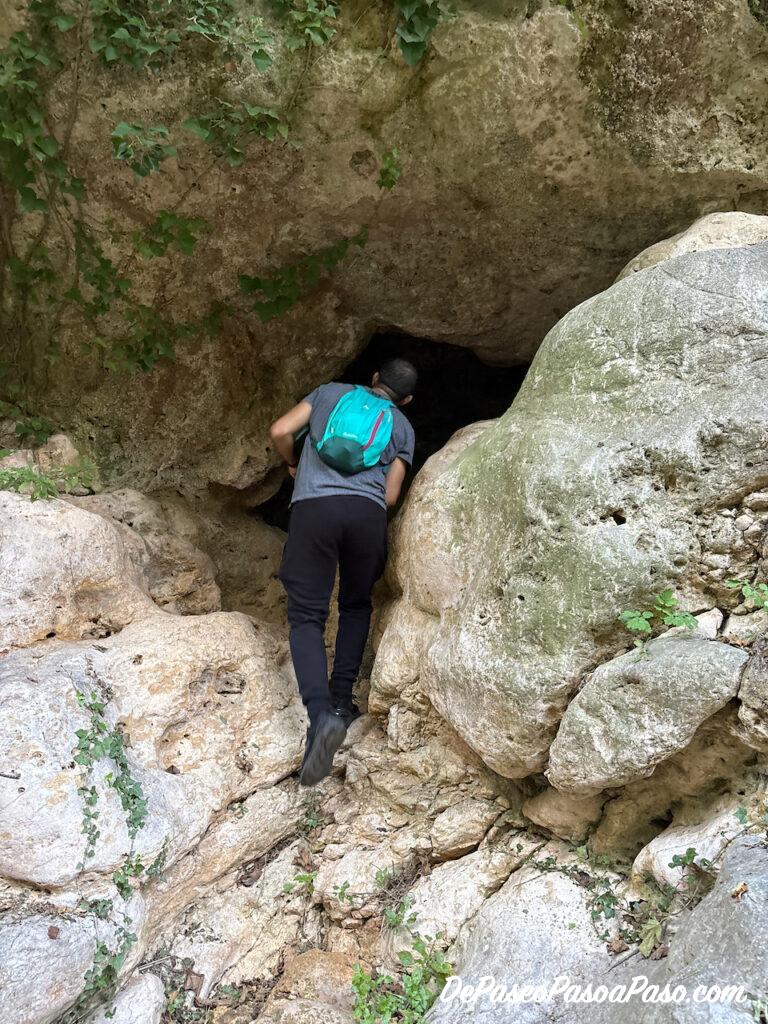 Camino hacia Molí la Vella