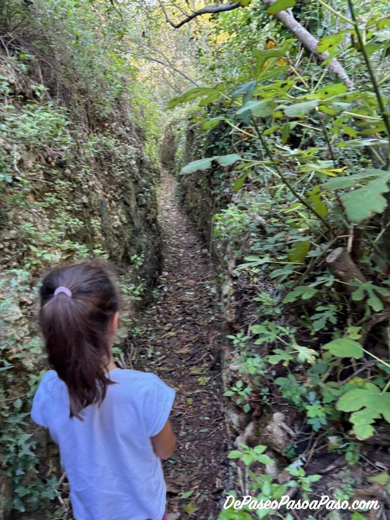 Camino hacia Molí la Vella