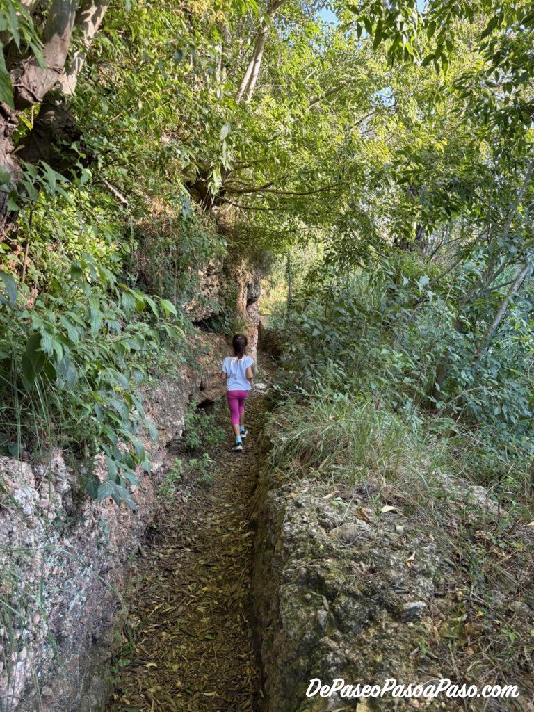 Camino hacia Molí la Vella