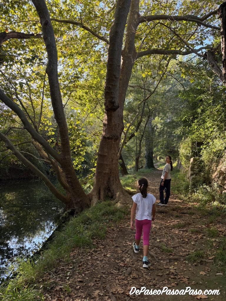 Camino de regreso del Molí la Vella